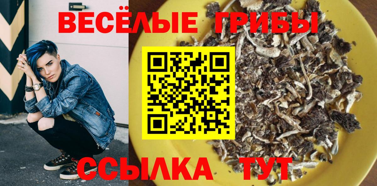 Галлюциногенные грибы Psilocybine cubensis  Вход с VPN  что такое наркотик  Богданович 